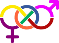 Gender-and-Sexual-Orientation-300x221